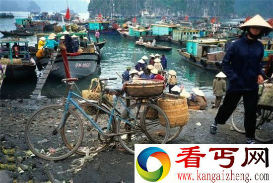 十二座濒危世界历史遗址 中国南越王宫上榜