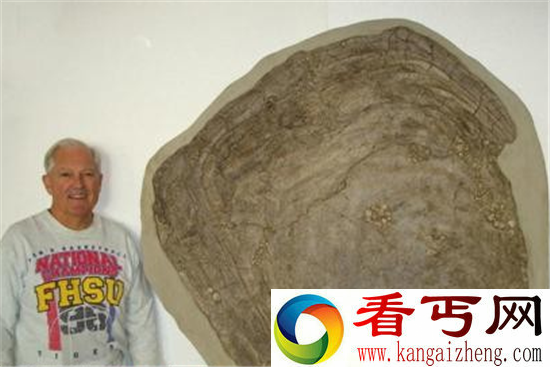 十大罕见远古生物 巨型陆地杀手蝎