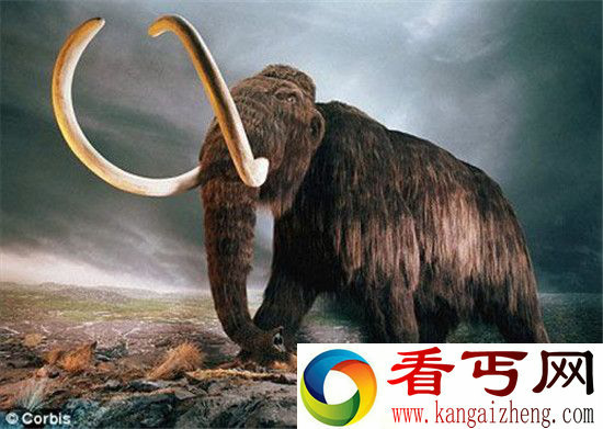 恐龙猛犸象复活会引发灾难?地球已不再适合生存