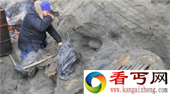 猛犸象尸 或将改变人类史