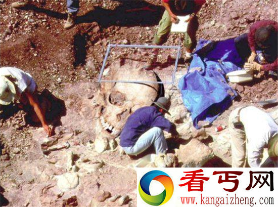 史前巨人族为何神秘消失?真正原因竟是它!