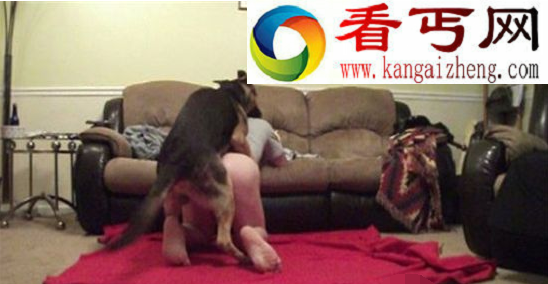 女子与狗x交照片,女子被狗的JJ卡住(现实版人与兽)