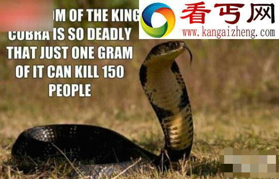 关于人类世界的冷知识