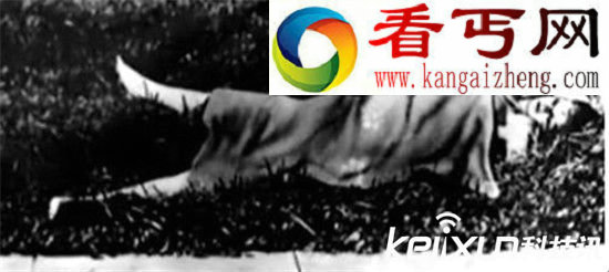 世界十大未破杀人悬案
