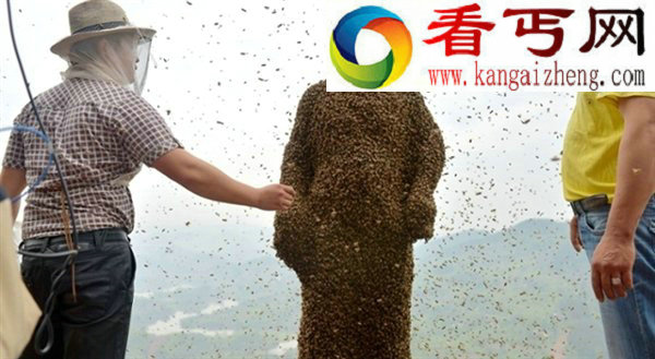 男子涂蜂蜜召来46万蜜蜂附身