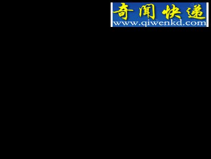 脂肪造就奇迹！男子17楼坠落生还