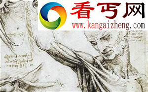 达芬奇人体解剖图生动清晰:共解剖30多具尸体 