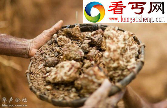 （多图）斯里兰卡宝石开采全过程
