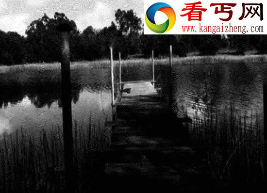 恐怖的吸血毯之谜，类似毛毯的吸血生物(缠住必死)