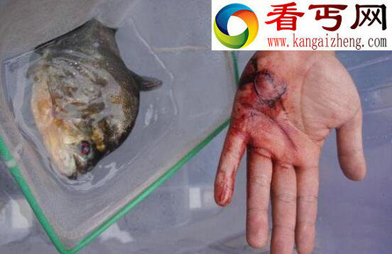 人类灭绝的10种可能,每一种都会带来世界性灾难