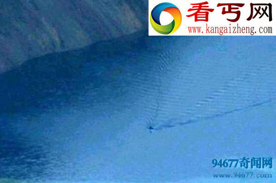 长白山天池水怪,商家造势将水獭变成水怪