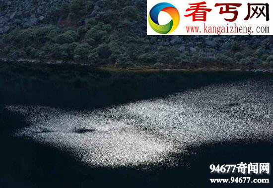 揭开猎塔湖水怪之谜,实则湖面旋风形成“水龙卷”