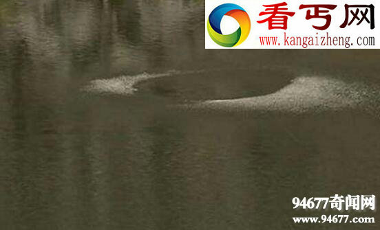 揭开猎塔湖水怪之谜,实则湖面旋风形成“水龙卷”