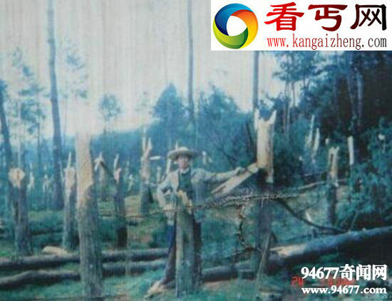 贵阳空中怪车事件,外星人造访地球留下的证明