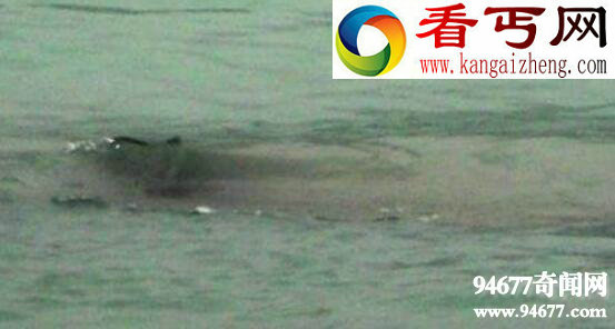 揭开青海湖水怪之谜,水怪藏身海底巨大漩涡