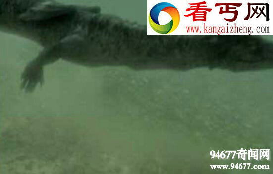 揭开青海湖水怪之谜,水怪藏身海底巨大漩涡