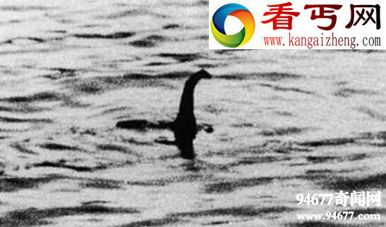 尼斯湖水怪之谜,水怪疑是绝育的太监鳗鱼
