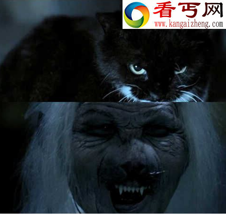 哈尔滨猫脸老太太事件，吃小孩是谣言（图片）