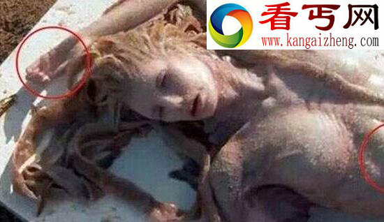 美人鱼真的存在吗,隐匿深海的人类文明