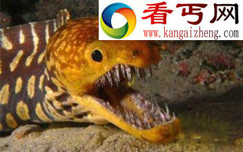 辽宁挖出140岁蛇精，吓死挖土机司机，蛇精不可思议