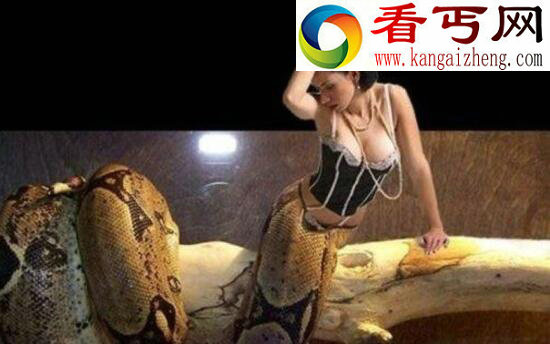 真实的日本美人蛇图片，人头蛇身美人蛇的真实面貌