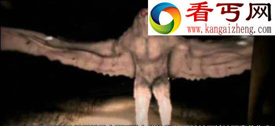天蛾人的预言是真是假，天蛾人会带来厄运的传说