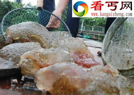 探索史上最恶心的水怪，左海湖水怪疑为一坨恶心的菌类复合体
