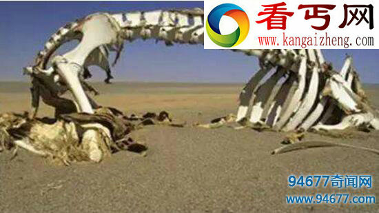 探索昆仑山死亡谷之谜，盘点世界最恐怖的五大死亡谷