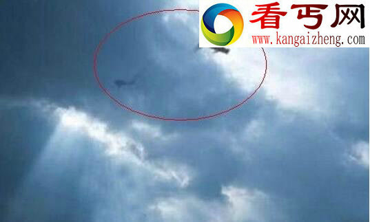 安徽巨蟒渡劫事件，凌空巨蟒背后的故事