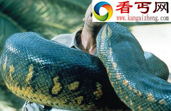 安徽巨蟒渡劫事件，凌空巨蟒背后的故事