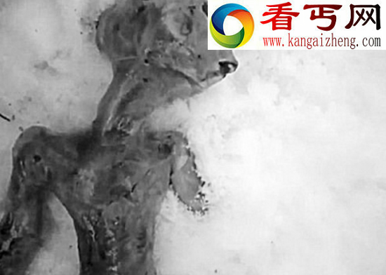 世界上有外星人吗，真实存在却遥不可及(内附多图)