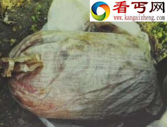 毛骨悚然的南京大学碎尸案，2000片尸体中隐藏的案件线索(多图）