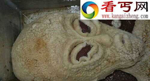 震惊世界!长沙惊现如此清晰真实外星人！