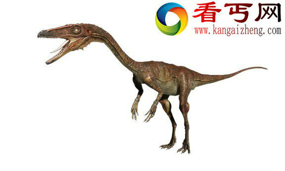 古生物恐龙十大未解之谜:恐龙灭绝 恐龙交配等
