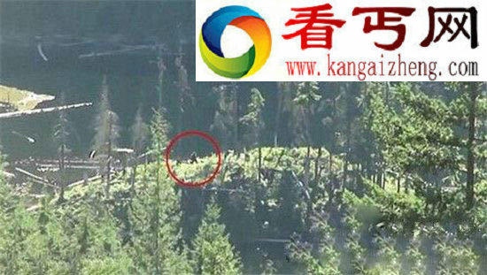 动物十大未解之谜 龙源自尼罗河鳄鱼是真是假？