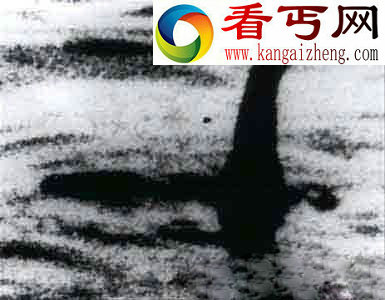 世界上的未解之谜,真相永远也找不到