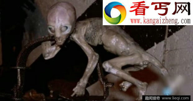 仓库里放了个老鼠夹夹到恐怖怪物