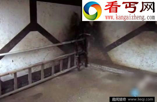 仓库里放了个老鼠夹夹到恐怖怪物