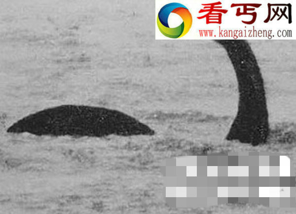 英国尼斯湖水怪