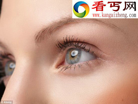 7亿年前的水母是人类视觉起源(图)