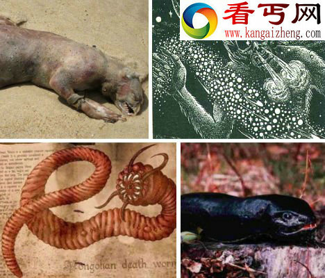 细数传说中的神秘怪物: 蒙古死亡之虫科学家为之疯狂（多图）