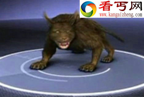 细数传说中的神秘怪物: 蒙古死亡之虫科学家为之疯狂（多图）