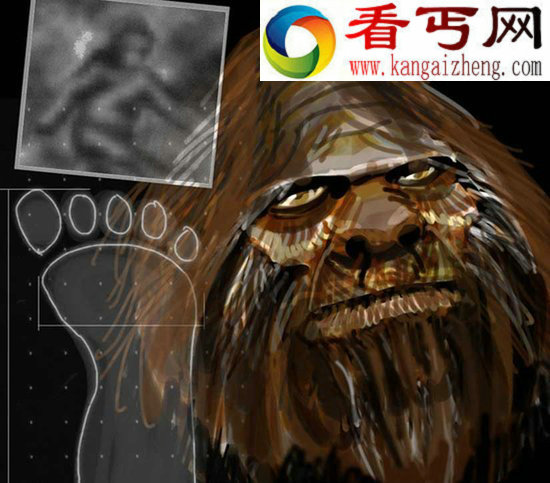 科学家拟基因分析“雪人样本” 揭晓怪兽谜团