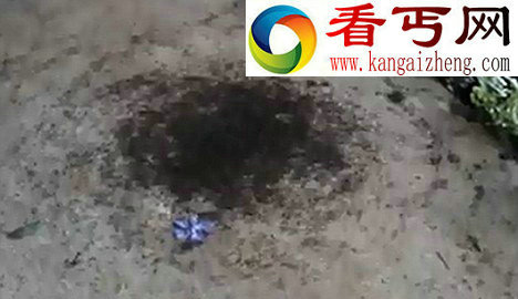 蚂蚁失去联系后会不停画圈至死亡