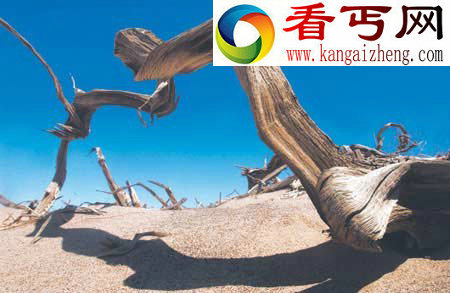 历时多达两千年 罗布泊诡异事件全记录(组图)  