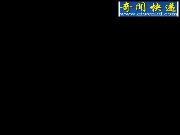 乌克兰发现神秘吸血怪兽长得像袋鼠又像狐狸
