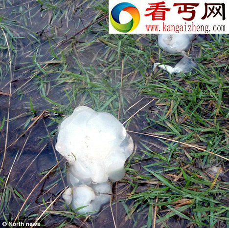 （图）英惊现神秘半透明“果冻” 被猜是外星球物质