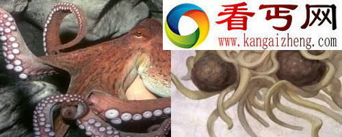 盘点自然界最具超能力8大动物
