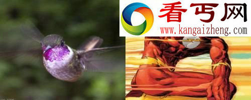 盘点自然界最具超能力8大动物