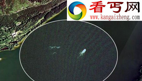 全球各地的神秘“水怪”事件